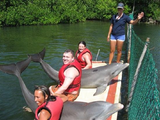 Plavejte s delfíny na Kubě